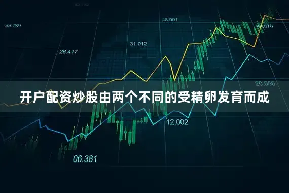 开户配资炒股由两个不同的受精卵发育而成