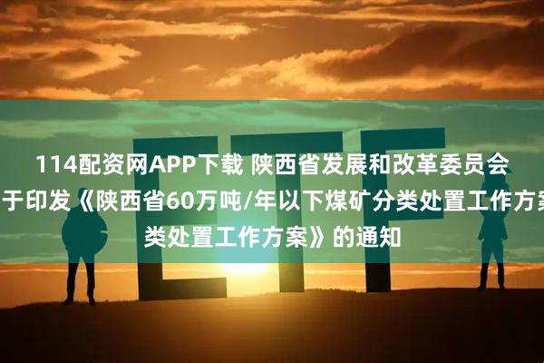 114配资网APP下载 陕西省发展和改革委员会等6部门关于印发《陕西省60万吨/年以下煤矿分类处置工作方案》的通知