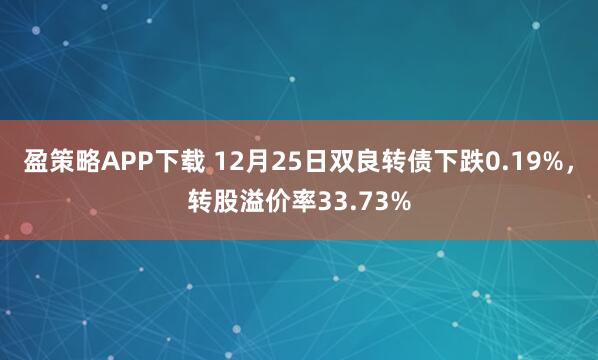 盈策略APP下载 12月25日双良转债下跌0.19%，转股溢价率33.73%