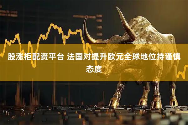 股涨柜配资平台 法国对提升欧元全球地位持谨慎态度
