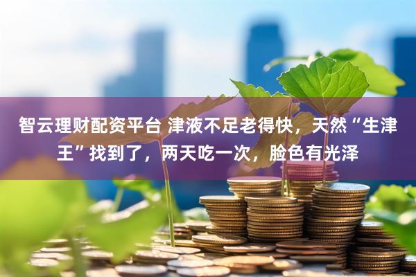 智云理财配资平台 津液不足老得快，天然“生津王”找到了，两天吃一次，脸色有光泽